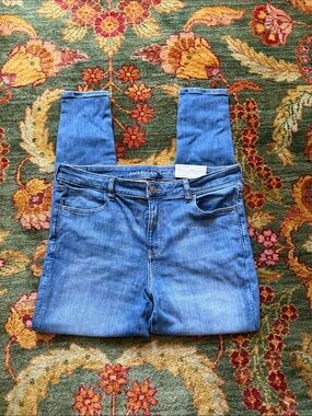 American Eagle Outfitters NWT Next level stretch Brilliant Blue Jegging Sz 16